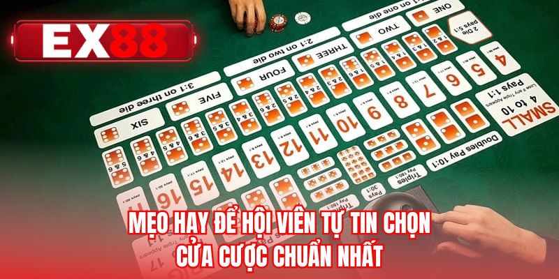 Mẹo hay để hội viên tự tin chọn cửa cược chuẩn nhất 